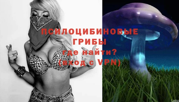 амф Вяземский