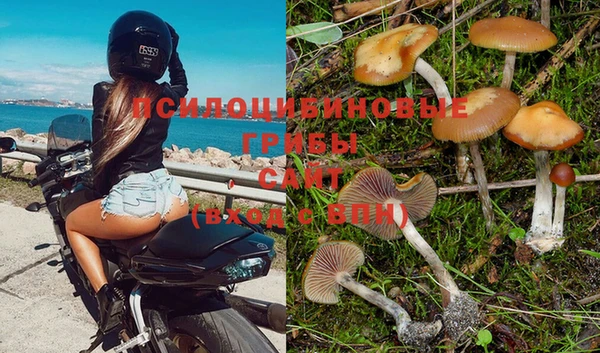 прущая мука Горно-Алтайск