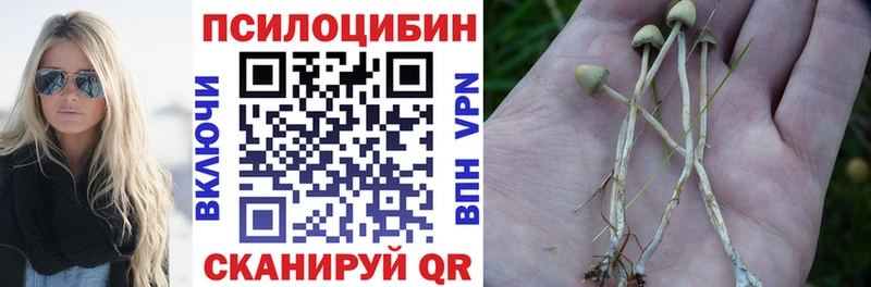 Купить закладки  Певек  Псилоцибиновые грибы ЛСД 